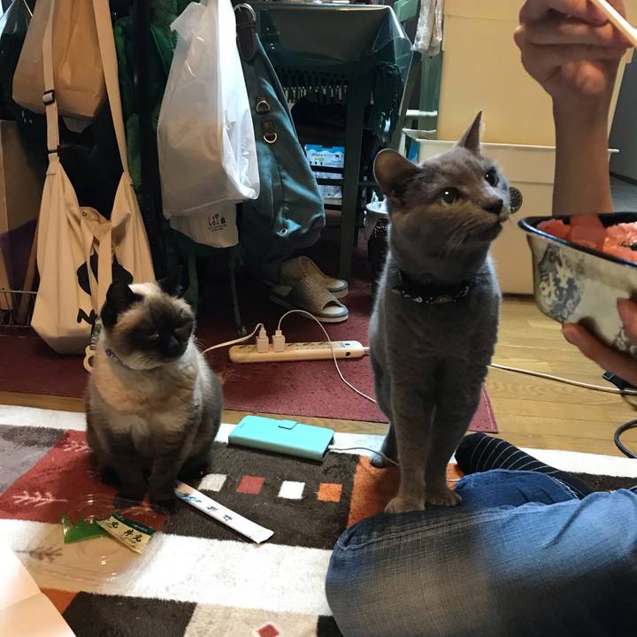 De8ad6f2 5eca 4a27 91d5 9b77dd6c63d3 1564214046359