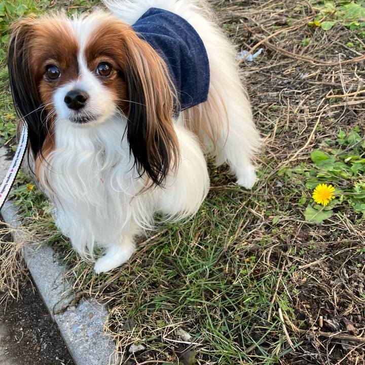 De8ae678 2006 479f b6a2 f91d941f3b3f 1701874602340