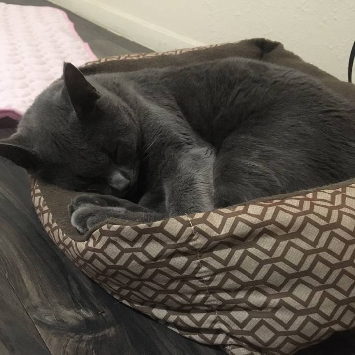 De8b1ebf 4bec 4627 b9d3 ab58919eeee5 1633877815000