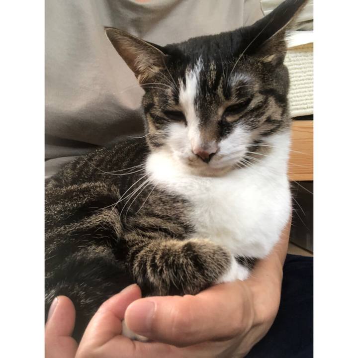 De8b296b 6bc9 47d4 a0da 53d64aad8d22 1629405646214