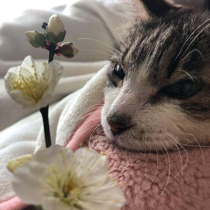 De8b8d95 e095 43f2 ae57 cd8bebbb48b2 1706738797159