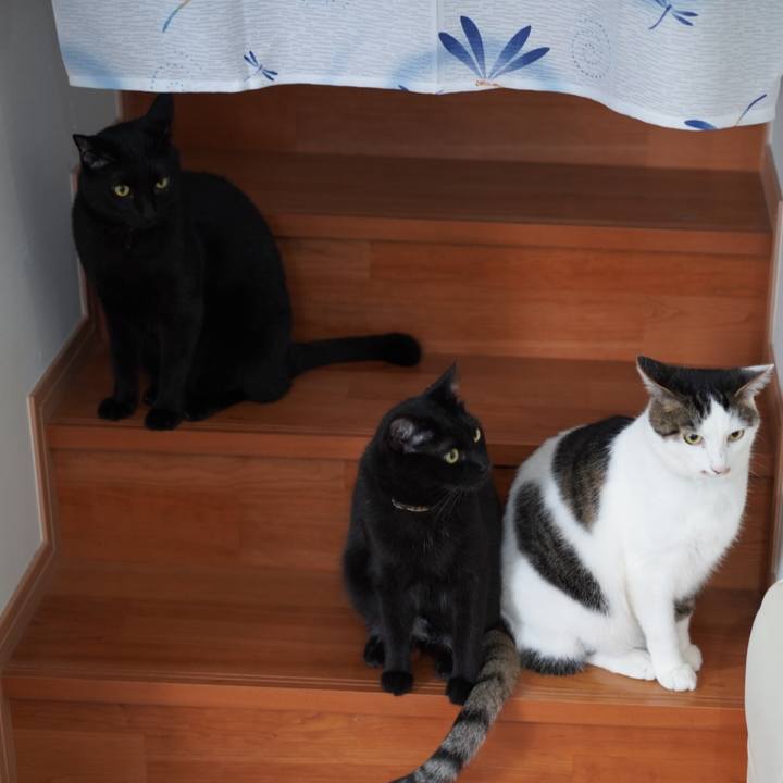 De8b99ba 87c8 4f03 826c 299e70216b9d 1622505124670