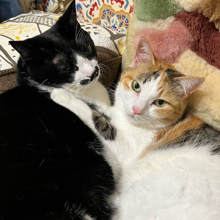 De8ba1cf 32e4 42c4 9aa6 7d6b95fc1291 1763735001550