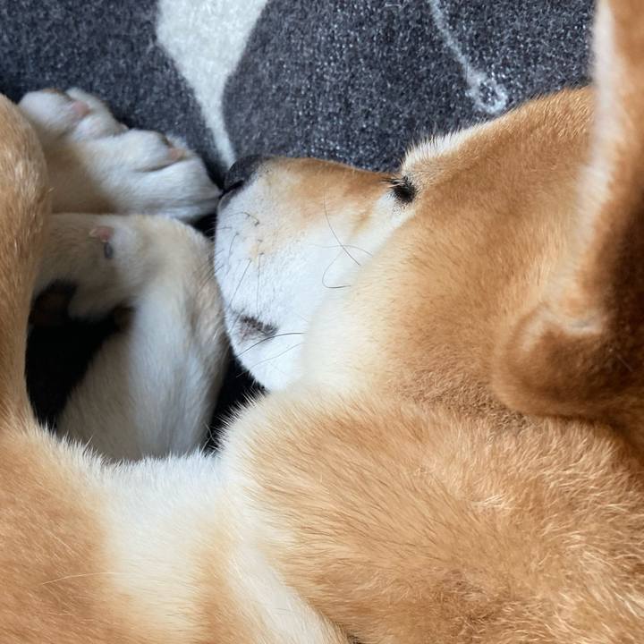 De8bbdf4 1e01 42fa acc2 c1019f3c5124 1646721155209