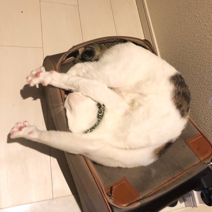 De8bda29 0abb 4fef a974 782c8972782c 1532186765483