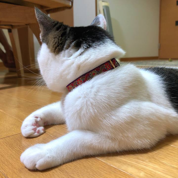 De8be157 2589 4e0c 9018 66a6c4d1968a 1630066137200