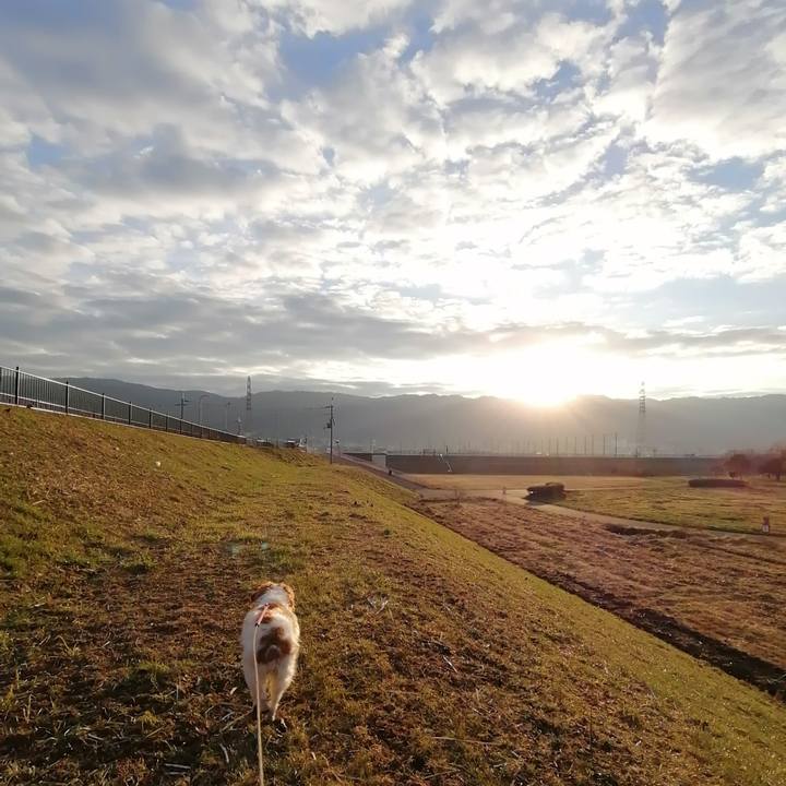 De8be388 a98e 41f2 a074 111896941225 1612916619885