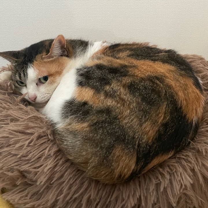 De8be518 c158 4531 9c73 597ba0509446 1704093677060