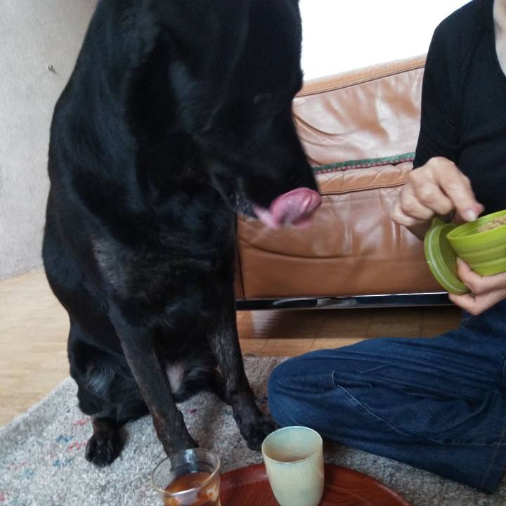 De8c0e7f b046 4359 b8d9 063660ddab9a 1592015276304