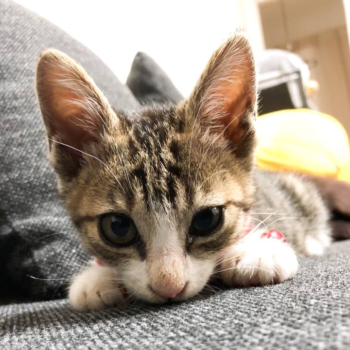 De8c2f01 e950 4d5c 9019 a2dce33fa905 1561731890871