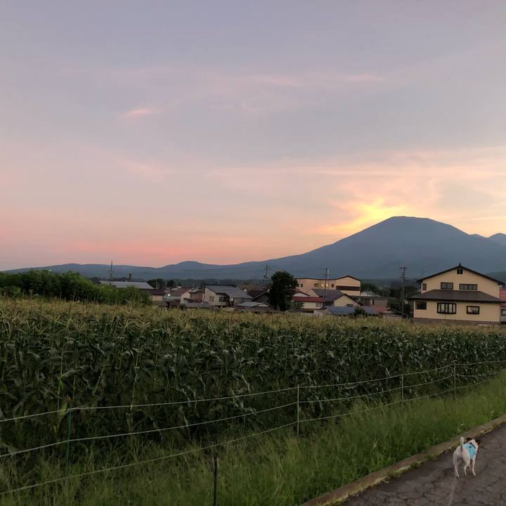 De8c725e 20ea 4938 a0d5 9b1dfcbce15b 1597843890723