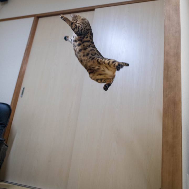 De8cb518 0e8f 49d3 b637 b839878ac754 1517842765704