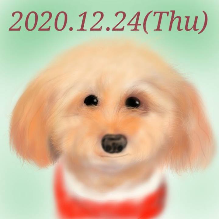 De8d0edf e89e 474f 8cc8 f66406300289 1608815637075