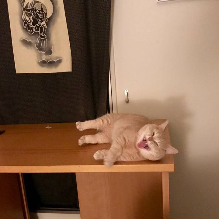 De8d0f2d 6718 4572 9da8 d14e77267a74 1559458140369