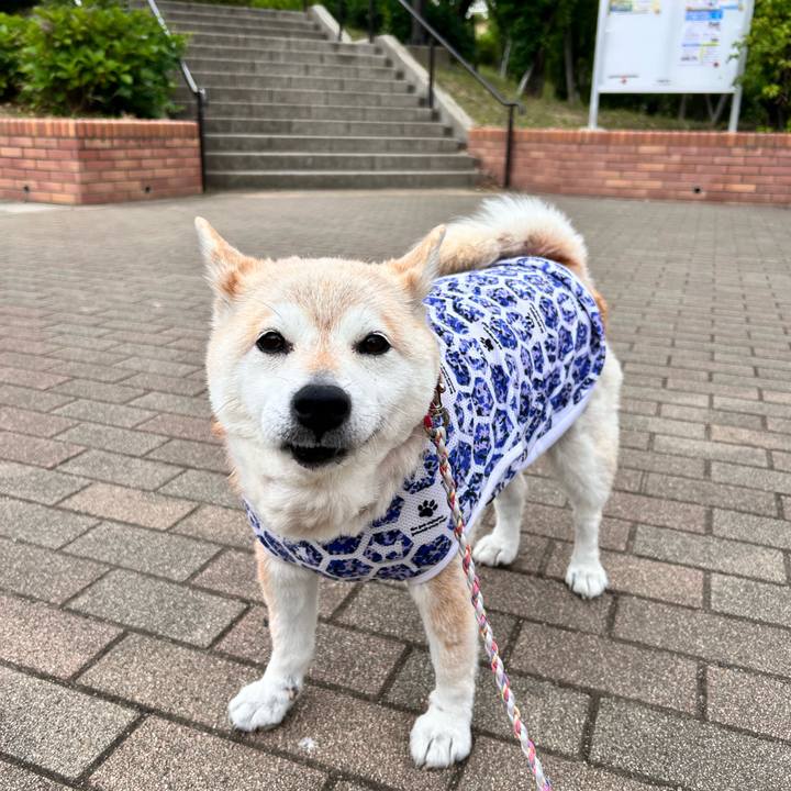 De8d27af 067a 4d9c 8468 29ceb374409d 1748071222925