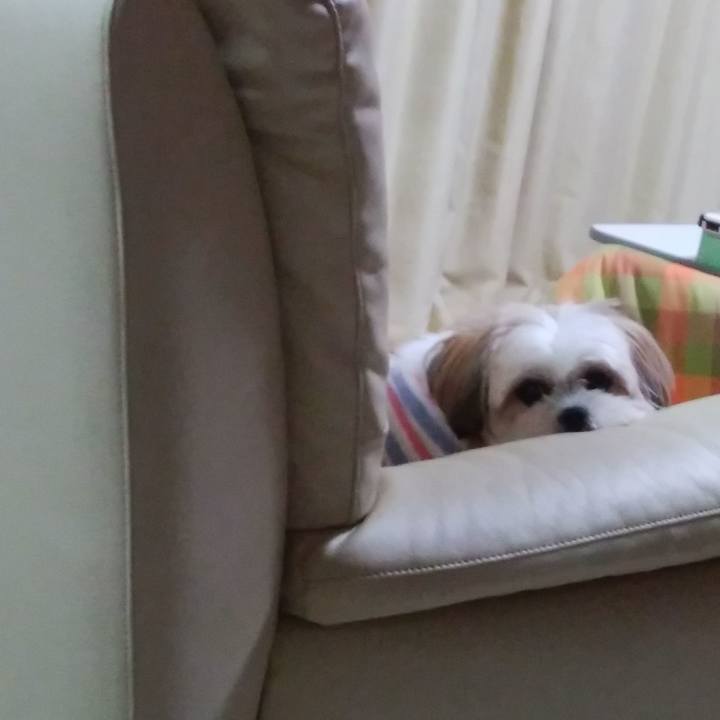 De8d60cf 0203 4f64 839e 2c144f33a7b5 1512037347957