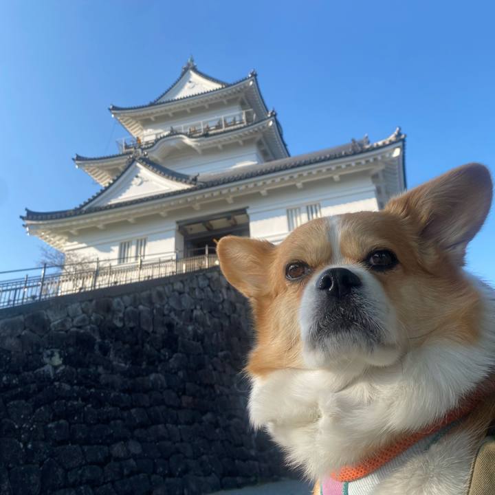 De8db766 b438 48d8 a46f 377584858ca2 1774527281288