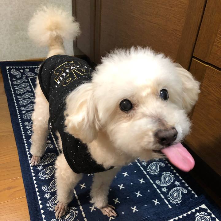 De8ddbd8 5b93 4afb 9c92 66de7fefc99d 1557354390522