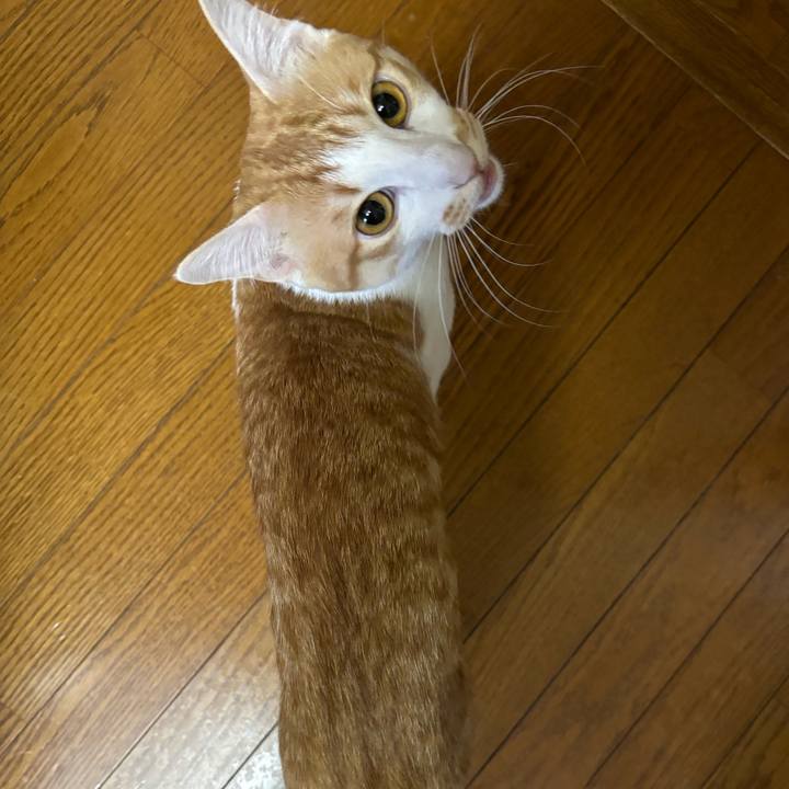 De8e05a8 859a 4b19 9832 ef4c5edb9136 1720873922778