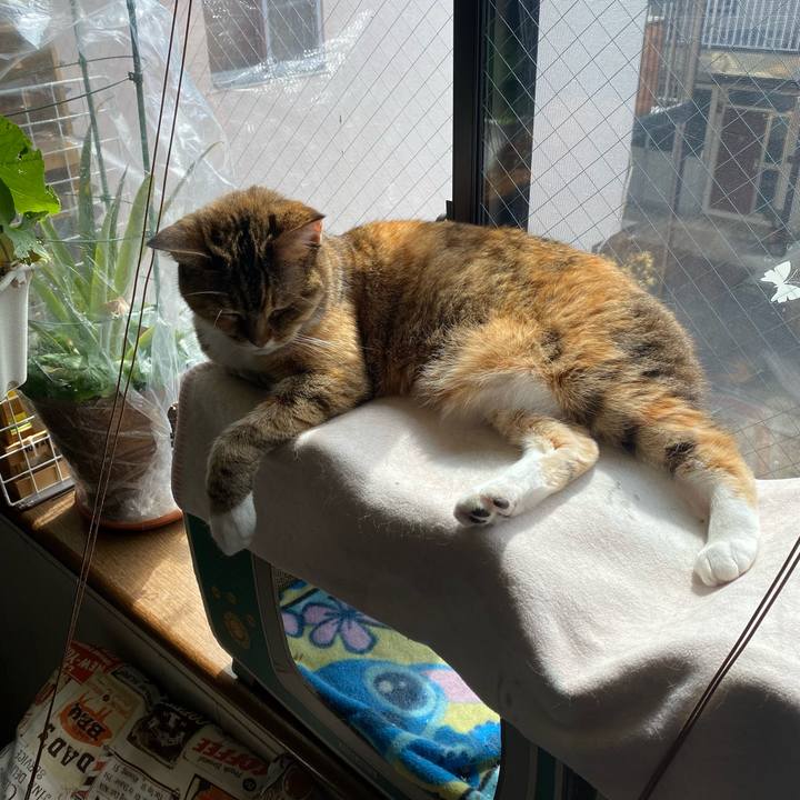 De8e0a0b d8a0 42a4 8607 ba4c6a7be42a 1646672093060