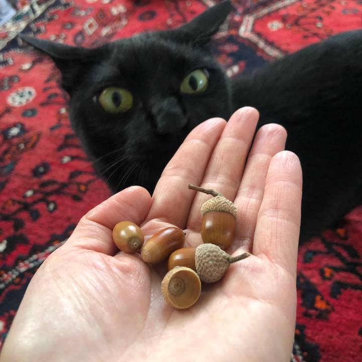 De8e2817 063f 4b8c ac43 69877b7439a1 1601938577664