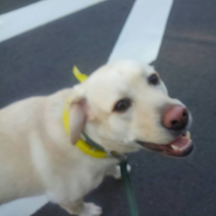 De8e5452 6972 4439 bef3 49816546a1e2 1511919245833