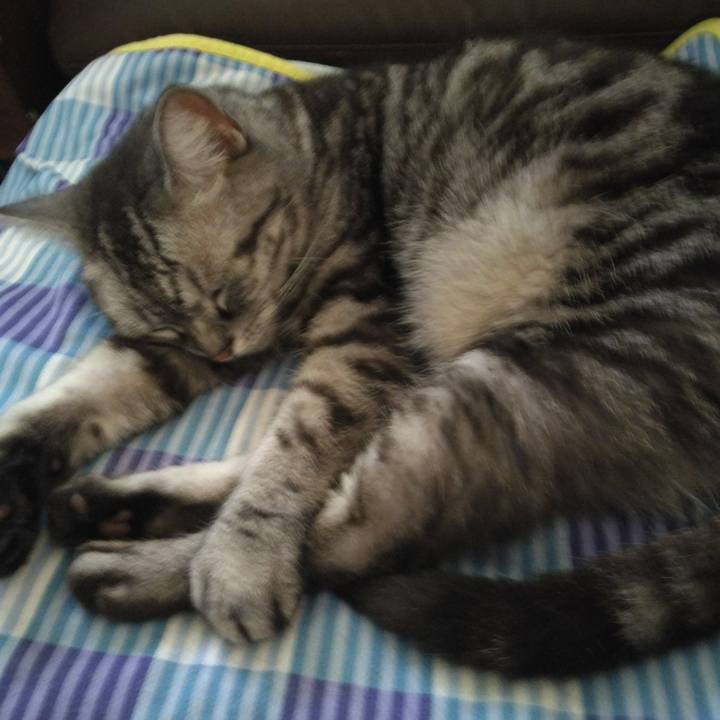 De8ea4f3 8495 4e17 a662 00cad500b789 1755903209513