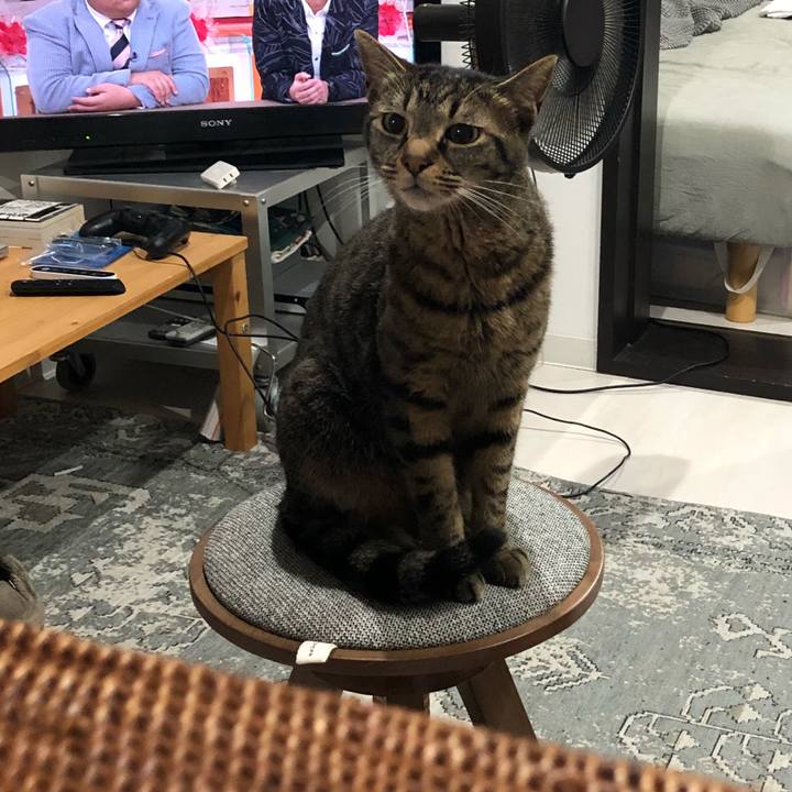 De8eb14a 1117 4875 ab99 44be145bcf10 1531316917919