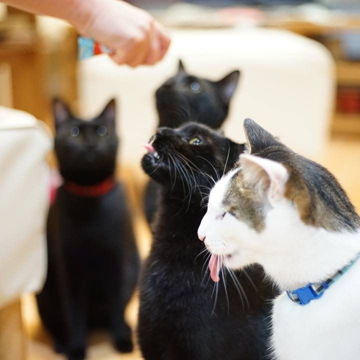 De8ebb53 17f8 4320 bf37 0c6ae96ad358 1525822053449