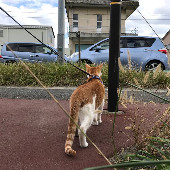 De8ecdde 121c 44cf b428 a6364d00ffdf 1510464070915