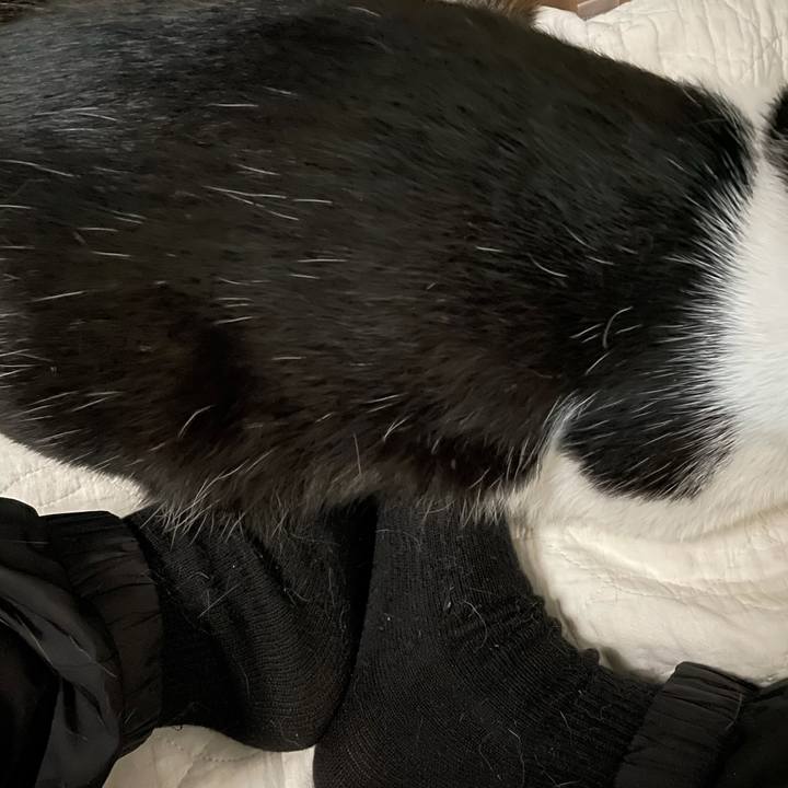 De8efc70 4a3f 47a2 87d7 1bc75f86432a 1623014297957