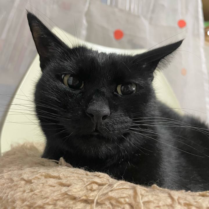 De8f3e5d 6912 4071 91c1 a80d72a501fc 1676719838184