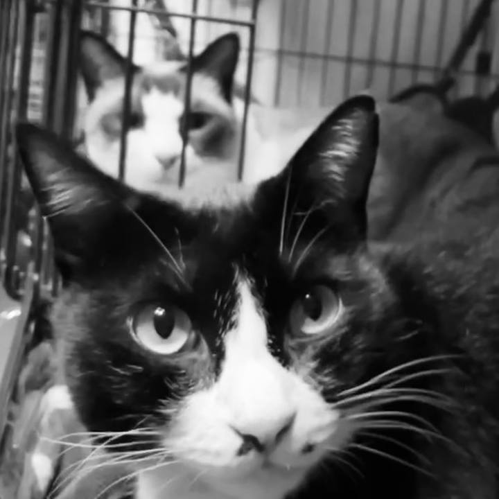 De8f484d e700 4169 a31c 42d20c895fef 1728207071841