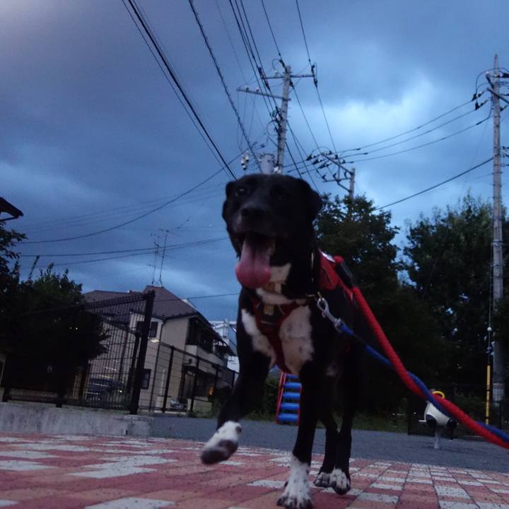 De8f5ee2 ad17 40a9 ad10 dcbe1fca6905 1599215678407