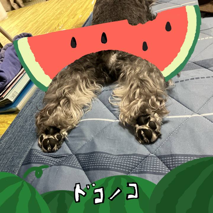 De8f69e9 6f7e 4447 96ae 683258565026 1720997521738