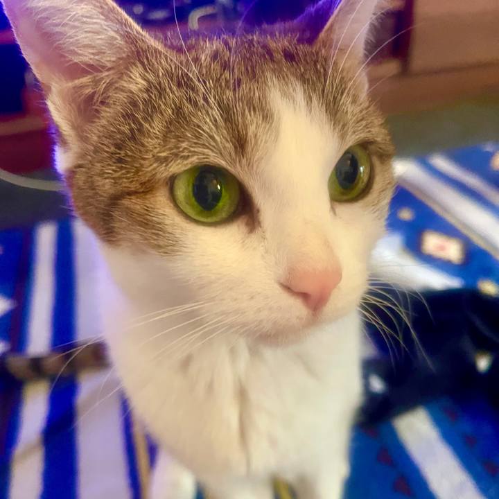 De8f6e40 91c4 4fe3 bf91 703d5bd4a1e5 1637187214612