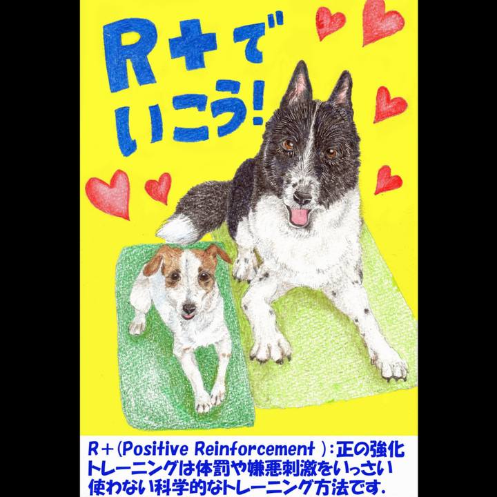 De8f971a ca86 4970 8e22 2dce2eb19dbc 1637530102591