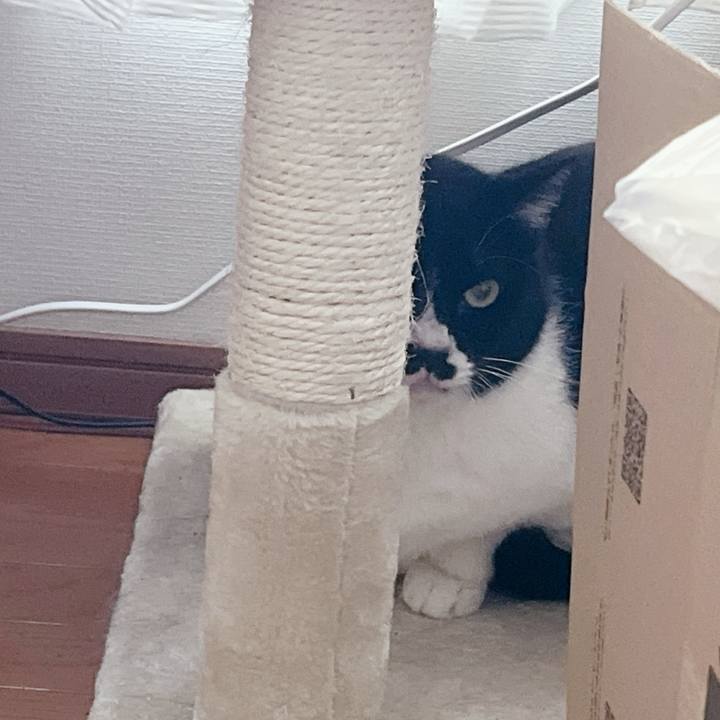 De8facac 58ca 4a31 9be9 dd5aaf1e05ad 1707454642426