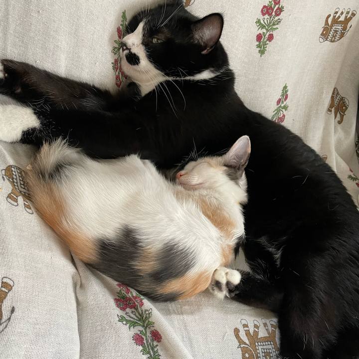 De8fb090 8c93 47ae 9469 338cb96ef38d 1661494356435