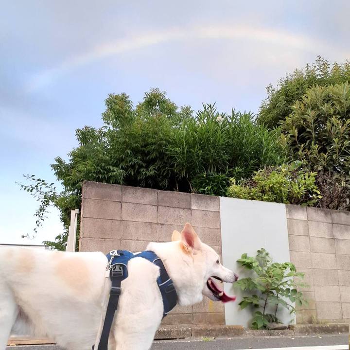 De8fdc04 a312 492a 9e46 2f902a1f7ddd 1755844361877