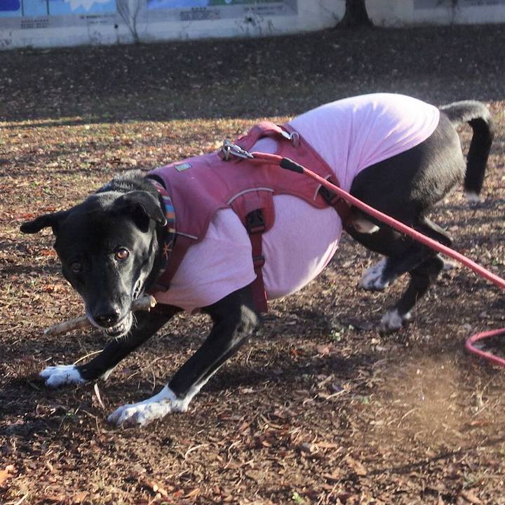 De900073 518d 4f2a 8d35 42a02b1e4283 1703122763110