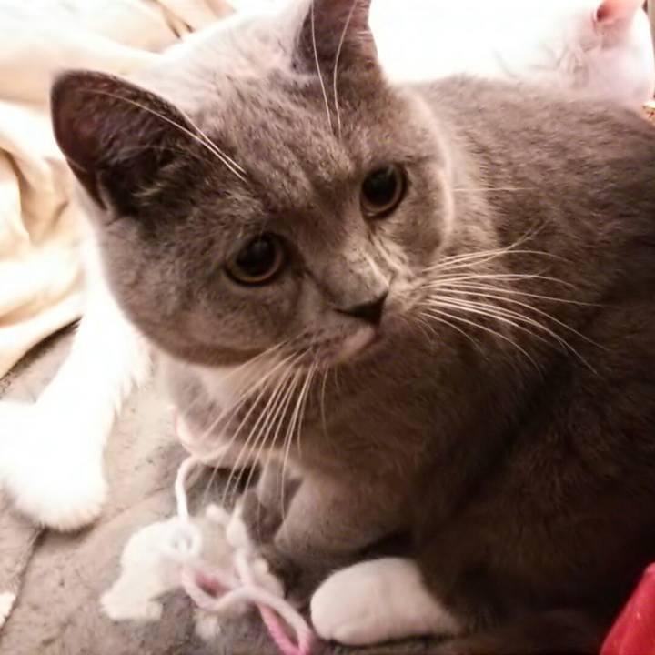 De900f43 b886 4024 92c2 d65c19b5542e 1548583178614