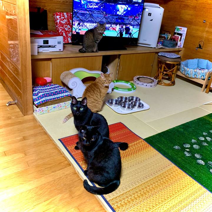 De9016fa f901 4bf5 a5e0 edb66870a61c 1603803154438