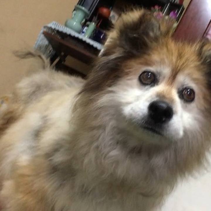 De90464f 7bbb 4530 b70a 8d933547e2a8 1602739593412