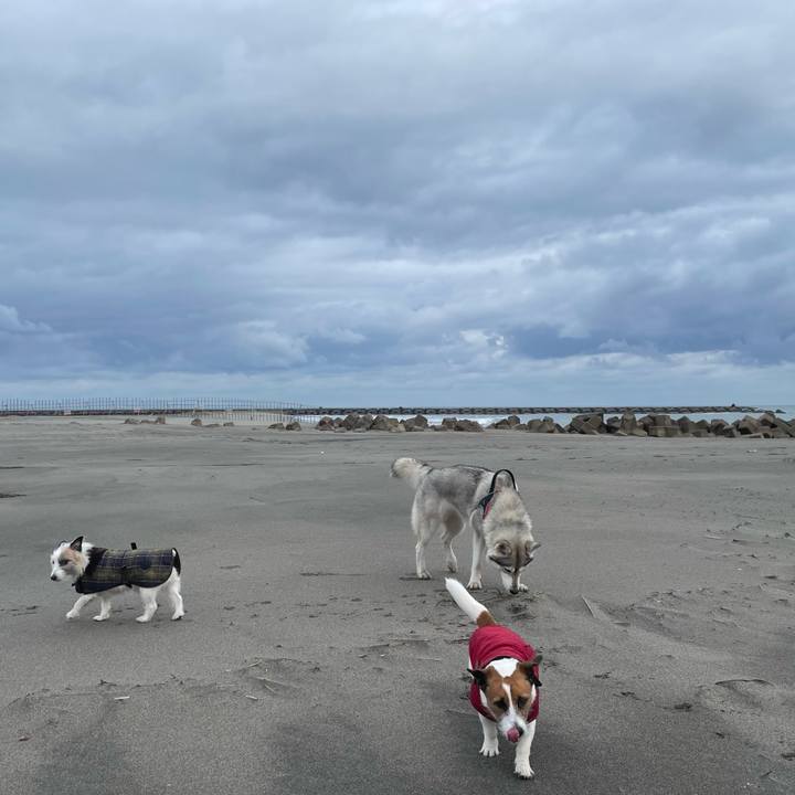 De905b4a c7eb 4573 85c7 a606aeae2d31 1709163243576