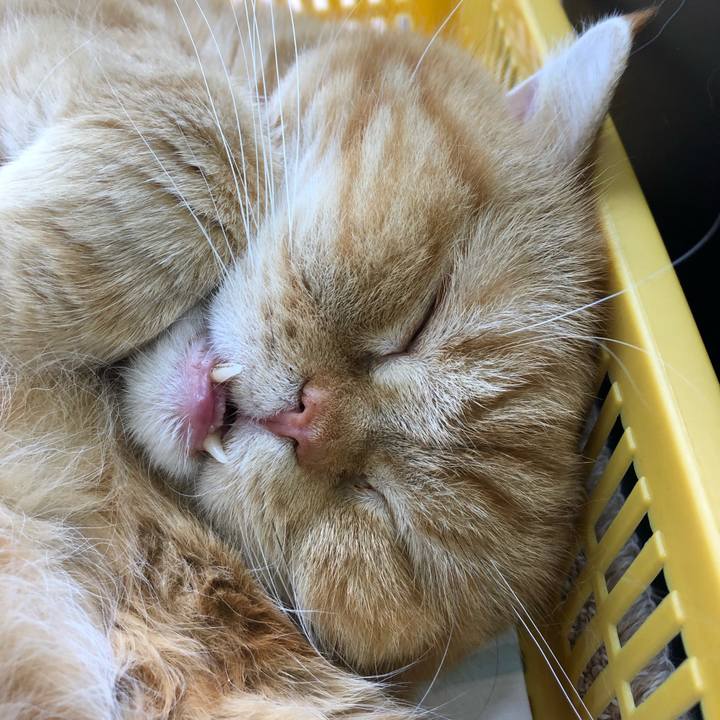 De9070bb 6479 4ebb 85dc 212a27f34d20 1556333906018