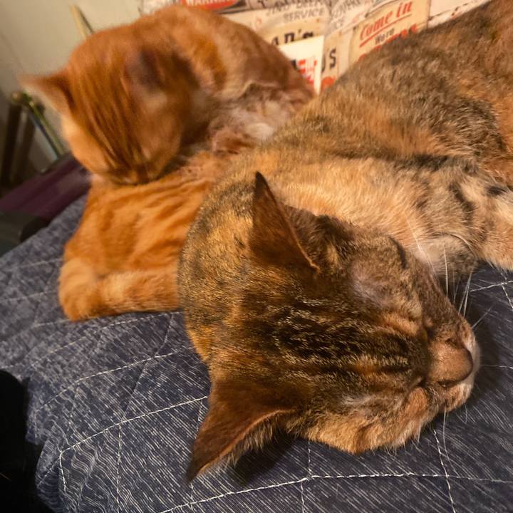 De908988 3ca9 44d3 90aa ade95b286045 1586799332971