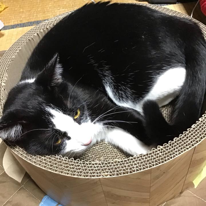 De90cb80 0fb7 4c06 9636 0703a7f75c4c 1697204059451