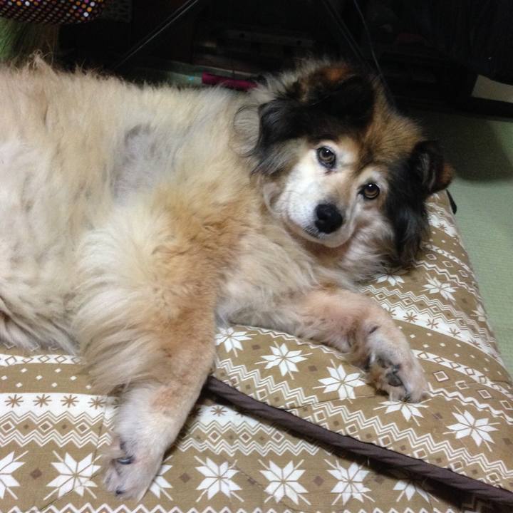 De90e290 16e8 45e5 b3cd c8599237c899 1660973806551