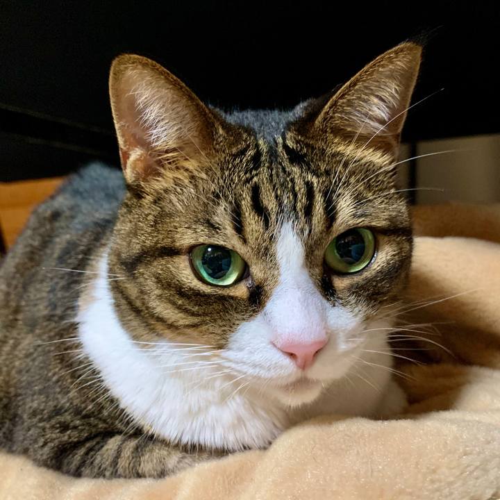 De90ee80 49a9 4468 ad45 99be3eff41da 1570283786500